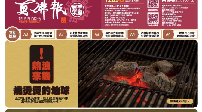 真佛報數位版1269期2019年6月13日